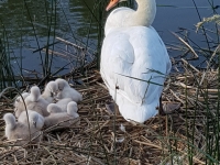 Le clin d'œil du jour sur info-chalon.com