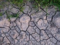 SECHERESSE - La situation s'aggrave en Saône et Loire 