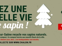 COLLECTE DES SAPINS DE NOEL - 16 parcs mis à disposition dès lundi 26 décembre à Chalon