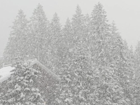 Quelques flocons de neige prévus dès 1.100m d’altitude ce vendredi chez nos voisins de Franche-Comté