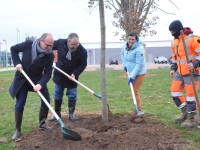 Le stade Léo Lagrange s'engage dans une phase de renaturation 