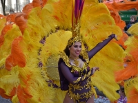 Au cœur de la 100e édition du Carnaval de Chalon-sur-Saône (suite )