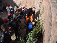 Plantation de végétaux du mur végétalisé rue de Strasbourg à Chalon-sur-Saône