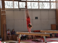 Succès de l’Eveil pour son gala des étoiles de la ‘Gymnastique Artistique’