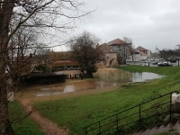 La Saône étend son lit dans le secteur des Granges Forestiers