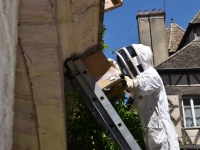 Un essaim d’abeille provoque une évacuation dare-dare des piétons de la rue du Chatelet 