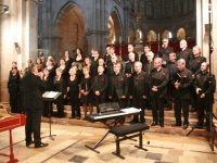 Le Choeur Opus 71 annule tous ses concerts pour 2020