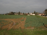 Projet d’un nouveau lotissement rue du Bourg à Châtenoy-le-Royal