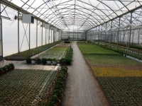 Horticulture et maraîchage, de nouvelles serres à l’Atelier des PEP de Châtenoy-le-Royal