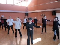 Pratiquer le Tai Chi Zen à Châtenoy-le-Royal