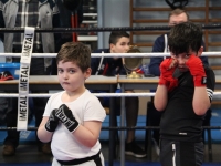 Rencontre amicale samedi entre les petits boxeurs du Ring Olympique Chalonnais et et du Ring Athlétique Lédonien