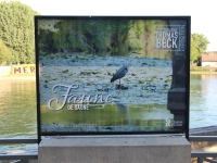 Venez découvrir sur le Quai des Messageries l'exposition «Faune de Saône» 