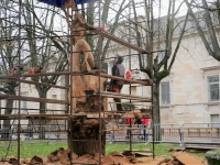 Le nouvel arbre à Manon prend forme