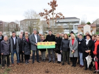 Le 1er arbre de l'opération "60 arbres pour les 60 ans" a été planté