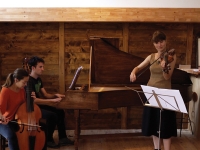 Conservatoire du Grand Chalon : Le bestiaire d'Orphée ou les effets de la musique sur les animaux