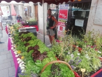 Marché du dimanche à Chalon : Silien Leman,  ce maraicher bio qui va bien au-delà de la certification 