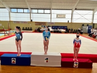 Jolie performance des gymnastes de Chalon Fémina lors de la première compétition de l'année de gymnastique féminine 