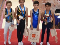 De nombreuses places d’honneur ont été décrochées par les  jeunes athlètes de l’Union Gymnique Chalonnaise lors des Championnats Régionaux Individuels