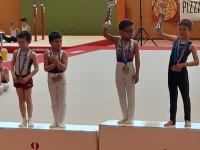 Pour la dernière compétition des gymnastes 7 / 9 ans de l’Union Gymnique Chalonnaise, les jeunes athlètes ont fait le plein de médailles et de titres