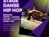 La compagnie Flex Impact en collaboration avec la Fédération Française de Danse organise un stage de danse Hip Hop exceptionnel à Chalon sur Saône, soutenu par la ville de Chalon sur Saône et le Grand Chalon