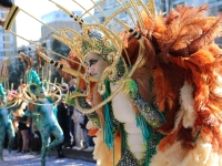 Carnaval de Chalon-sur-Saône : découvrez les premières photos !