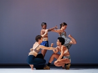 Festival Transdanses : 'Elles disent'