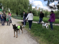 Belle réussite pour la Balade solidaire au profit de la SPA du Chalonnais