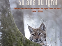 Le Pôle Grands Prédateurs fête les 50 ans de retour du lynx dans le massif jurassien les 9 et 10 novembre