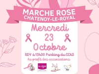 Châtenoy le Royal va marcher en rose mercredi 23 octobre 2024