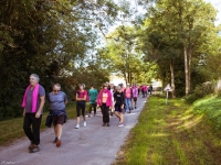 Un bel après-midi de solidarité à Lans ce mardi après-midi pour la collecte de sang organisée par l’Amicale de Saint-Marcel 