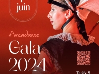 Arcadanse : le gala annuel c’est le 1er juin prochain à salle des fêtes Alfred Jarreau 