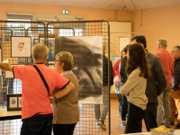 Bibliothèque Virey-le-Grand :  retour en images sur la seconde édition de l’exposition « Les talents Virois »