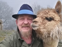 Lamas et alpagas, bien réfléchir à tous les paramètres avant une adoption 