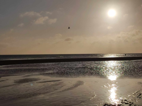 Les plages de Normandie toujours les plus plébiscitées sur les réseaux sociaux 