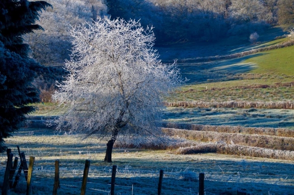 Quand le givre devient un vrai décor... 