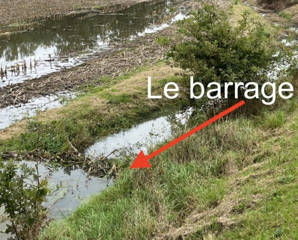 Affaire du barrage du castor : Droit de réponse de l’OFB qui conteste le «classement sans suite»