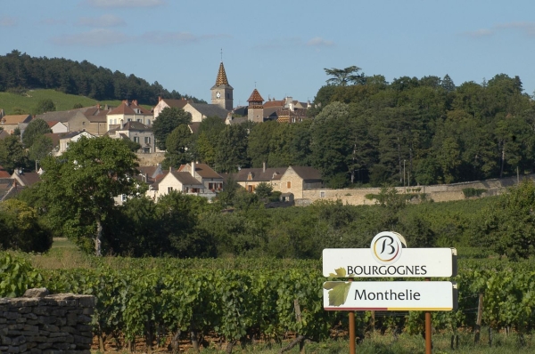 Le Bureau Interprofessionnel des Vins de Bourgogne prépare une vente aux enchères des anciens panneaux d’appellations.