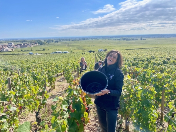 164e Vente des Vins des Hospices de Beaune - "Un millésime prometteur et une belle fraîcheur aromatique" annonce Ludivine Griveau