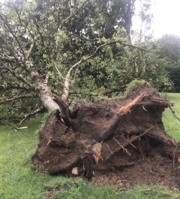 Violents orages ce mercredi matin dans l'Ouest de la Bourgogne 