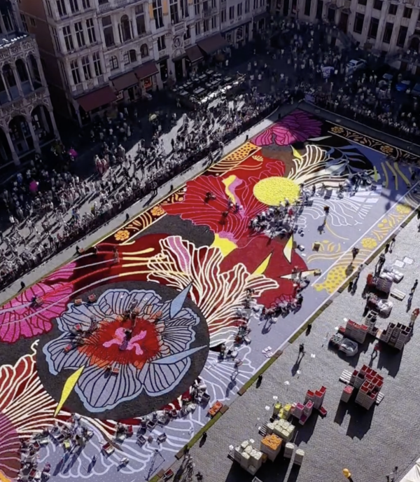 Incroyable tapis de fleurs à Bruxelles 