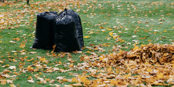 Jardin d'automne : 7 erreurs à ne pas faire !