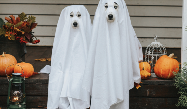 HALLOWEEN - Ces trucs qui donnent la trouille 