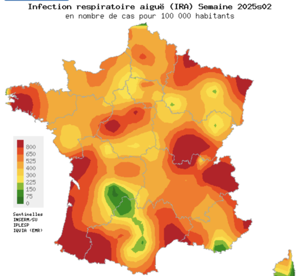 Grippe hivernale : l'épidémie s'intensifie encore et les cas de décès augmentent, selon Santé Publique France