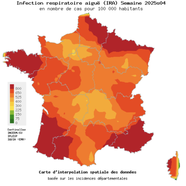 GRIPPE - La France ne voit pas le bout du tunnel... le pic pas encore atteint 