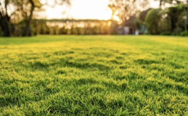 JARDIN - Avant la première tonte, voici ce que vous devez absolument faire avant la fin du mois pour une pelouse impeccable