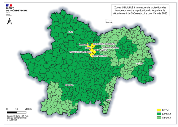 Les éleveurs de Saône et Loire peuvent déposer en ligne leur demande de subvention pour protéger leurs troupeaux contre le loup 