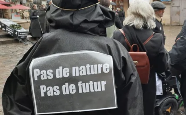 "On ne voit plus de papillons" : une marche à Dijon pour dénoncer le recul de la biodiversité en Côte-d'Or