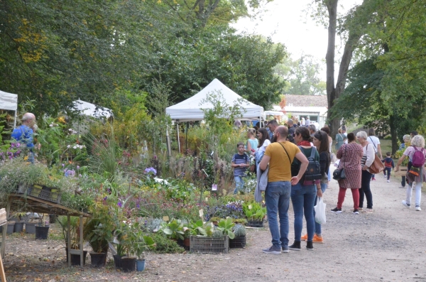 FOIRE AUX PLANTES D'AUTOMNE de LA LOYÈRE  - L'organisation précise... 