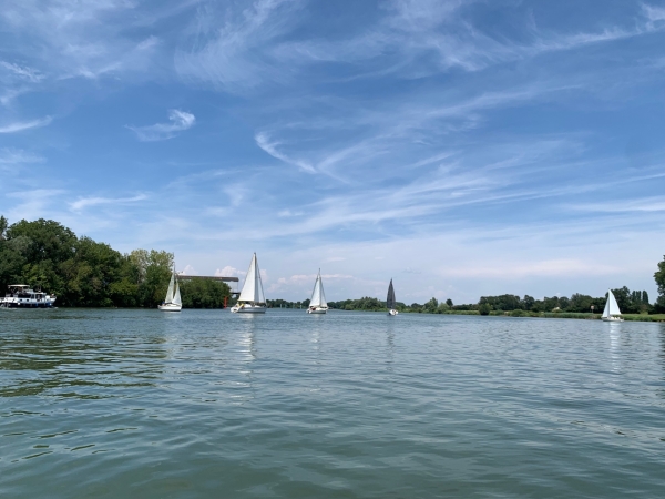 Journée découverte voile pour le CSE ALFI ELECTRONIQUE.