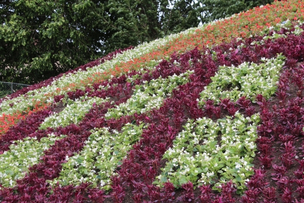 Le thème du parterre 2025 de la Tour du Doyenné  est connu 